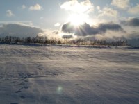 Der Wind treibt den Schnee über das Feld (c) Frank Koebsch