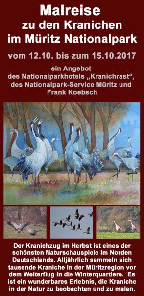 Malreise zu den Kranichen im Müritz Nationalpark 2017