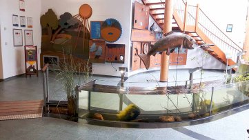 Ausstellung über das Wasser Umweltbildungszentrum des Wildparks MV (c) FRank Koebsch (2)