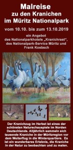 Malreise zu den Kranichen im Müritz Nationalpark 2019